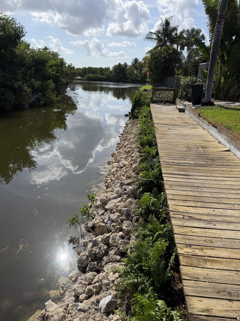 Rock installed along a canal bank with ferns planted beside a wooden walkway in St. Petersburg, FL